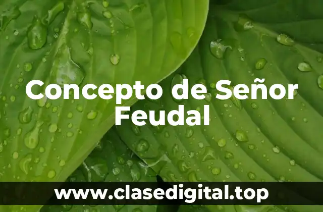 Concepto de Señor Feudal