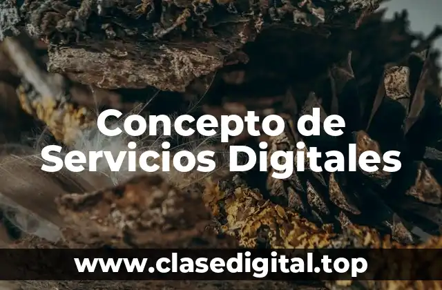 Concepto de Servicios Digitales