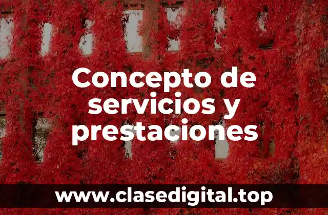 Concepto de servicios y prestaciones