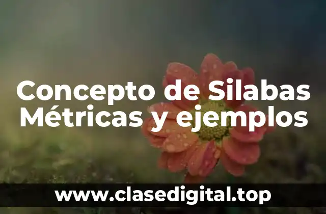 Concepto de Silabas Métricas y ejemplos