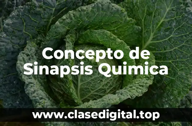 Concepto de Sinapsis Quimica