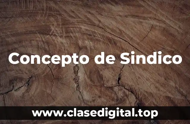 Concepto de Sindico