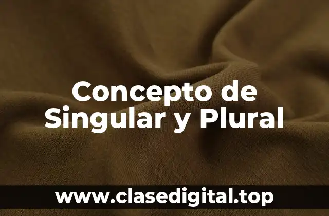 Concepto de Singular y Plural
