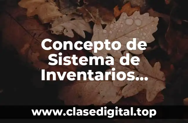 Concepto de Sistema de Inventarios Perpetuos