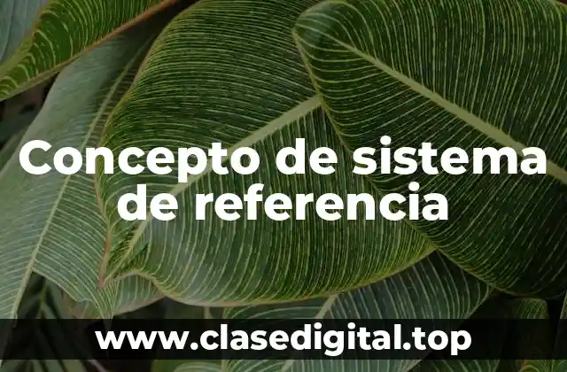 Concepto de sistema de referencia