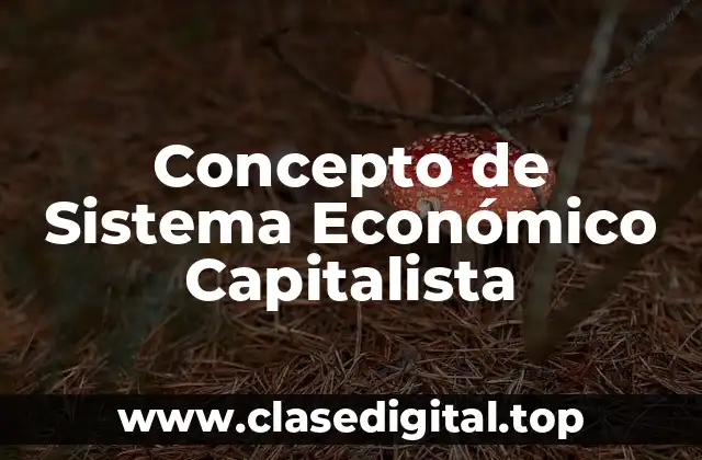 Concepto de Sistema Económico Capitalista