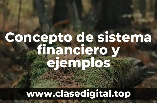 Concepto de sistema financiero y ejemplos