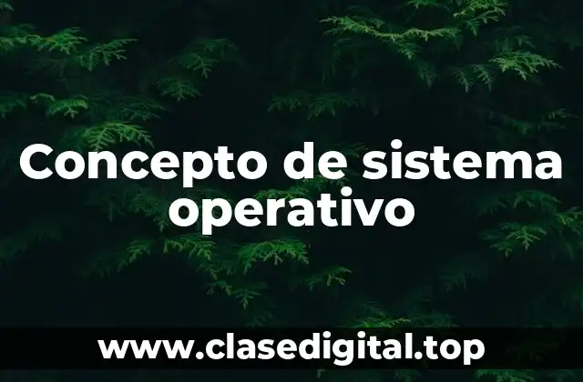 Concepto de sistema operativo