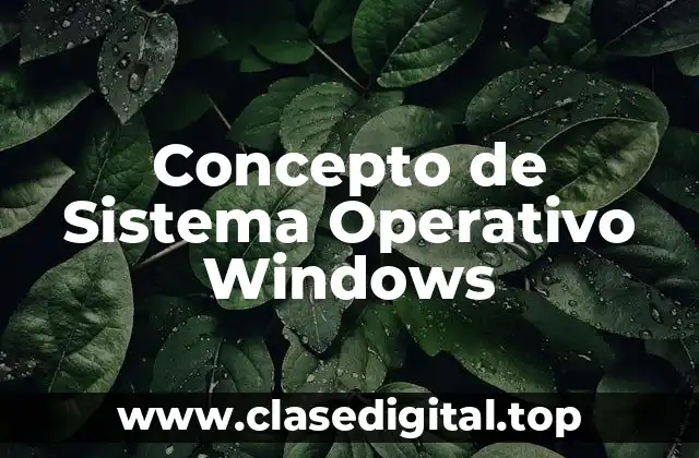 Concepto de Sistema Operativo Windows