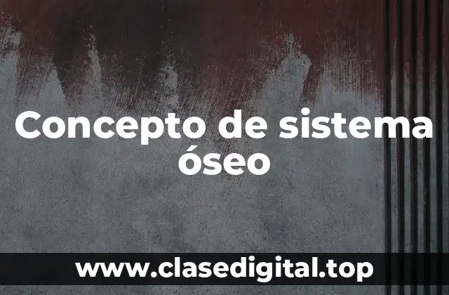 Concepto de sistema óseo