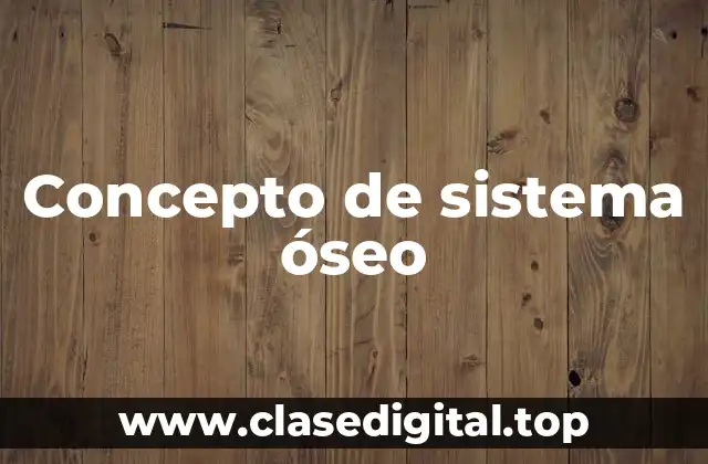 Concepto de sistema óseo