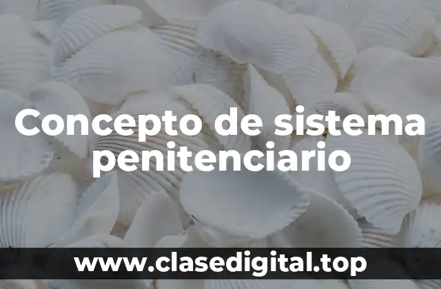 Concepto de sistema penitenciario