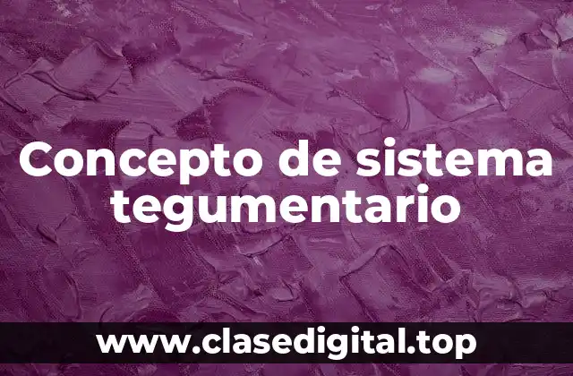 Concepto de sistema tegumentario