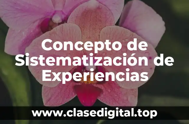 Concepto de Sistematización de Experiencias