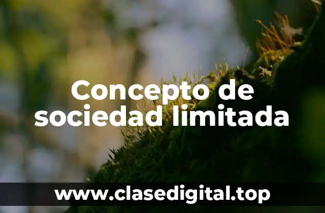Concepto de sociedad limitada