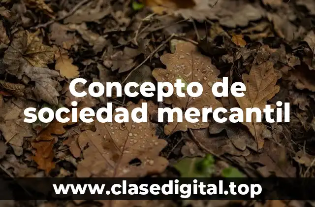 Concepto de sociedad mercantil
