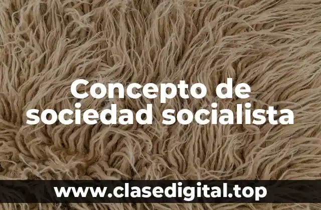 Concepto de sociedad socialista