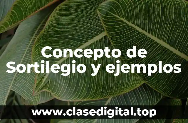 Concepto de Sortilegio y ejemplos