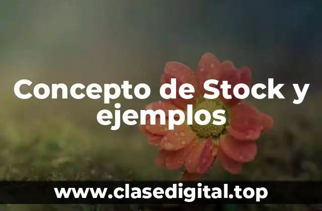 Concepto de Stock y ejemplos