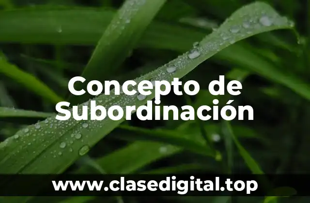 Concepto de Subordinación