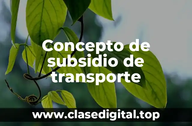 Concepto de subsidio de transporte