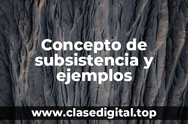 Concepto de subsistencia y ejemplos