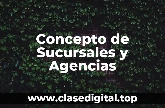Concepto de Sucursales y Agencias
