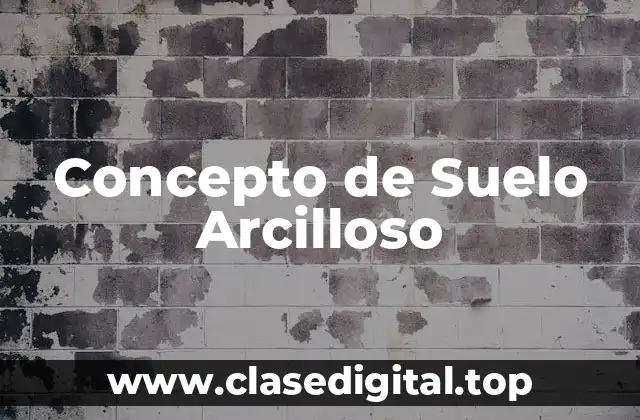 Concepto de Suelo Arcilloso