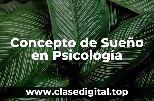Concepto de Sueño en Psicología