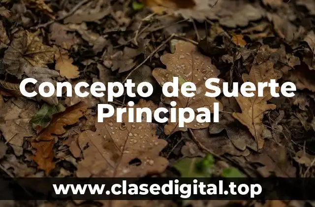 Concepto de Suerte Principal