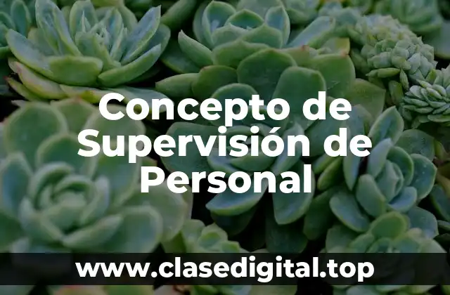 Concepto de Supervisión de Personal