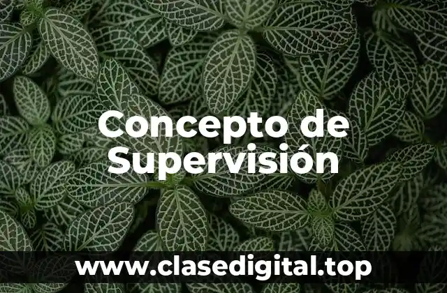 📗 Concepto de Supervisión