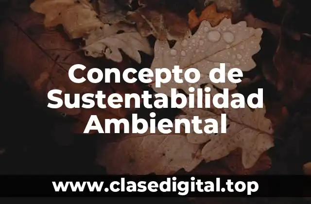 Concepto de Sustentabilidad Ambiental