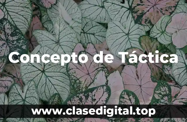 Concepto de Táctica