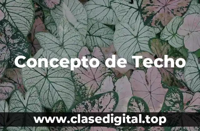 Concepto de Techo