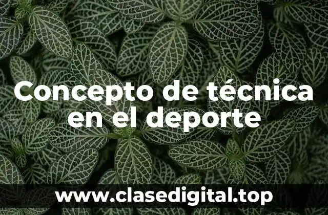 Concepto de técnica en el deporte