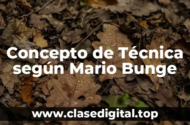 Concepto de Técnica según Mario Bunge