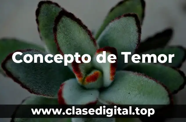 Concepto de Temor