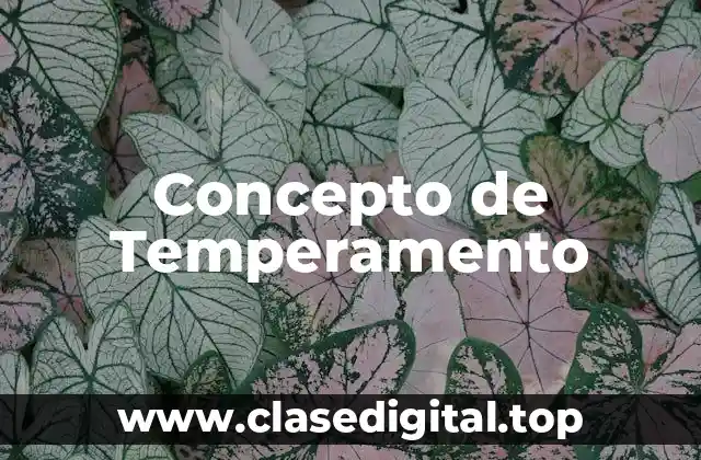 Concepto de Temperamento