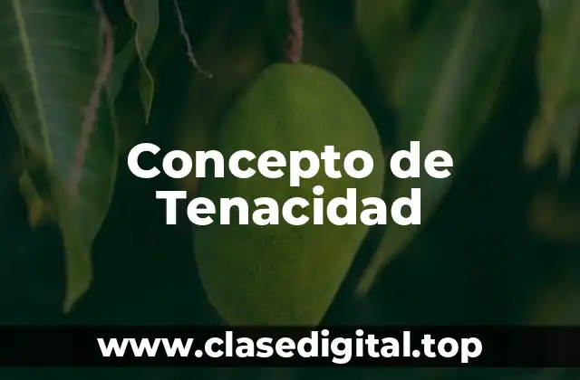 Concepto de Tenacidad