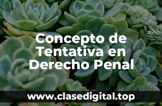 Concepto de Tentativa en Derecho Penal