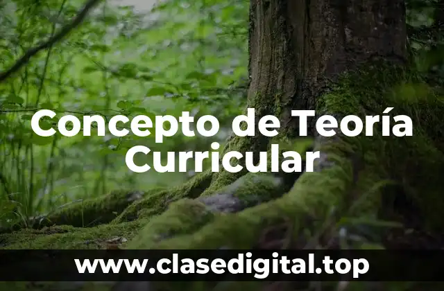 Concepto de Teoría Curricular
