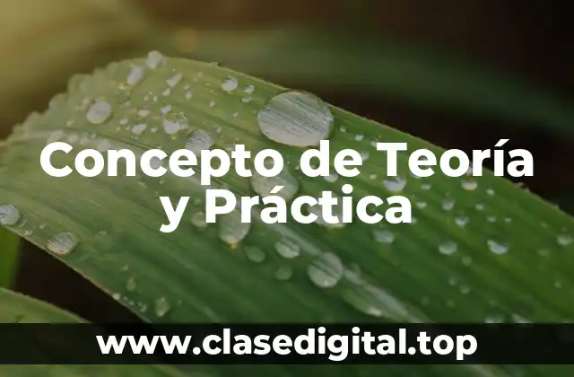 Concepto de Teoría y Práctica