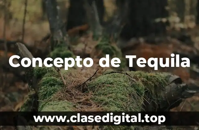 Concepto de Tequila