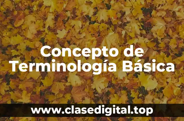 Concepto de Terminología Básica