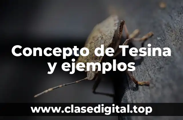 Concepto de Tesina y ejemplos