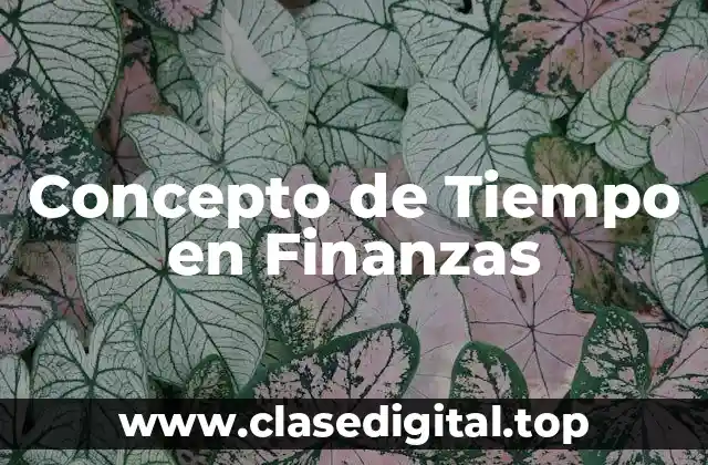 Concepto de Tiempo en Finanzas