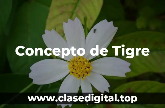 Concepto de Tigre