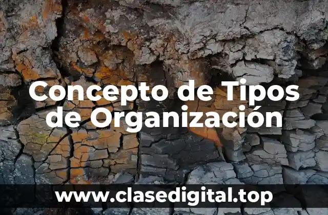Concepto de Tipos de Organización