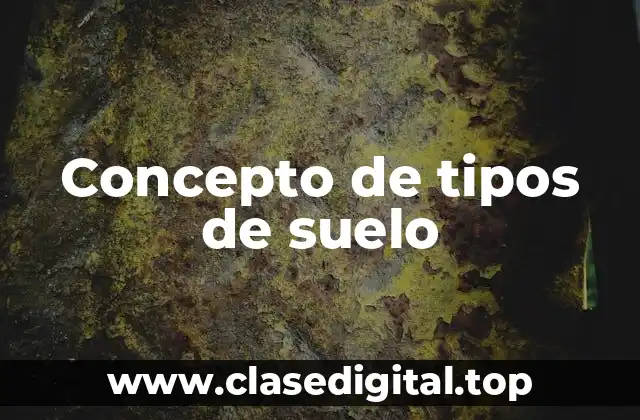 Concepto de tipos de suelo